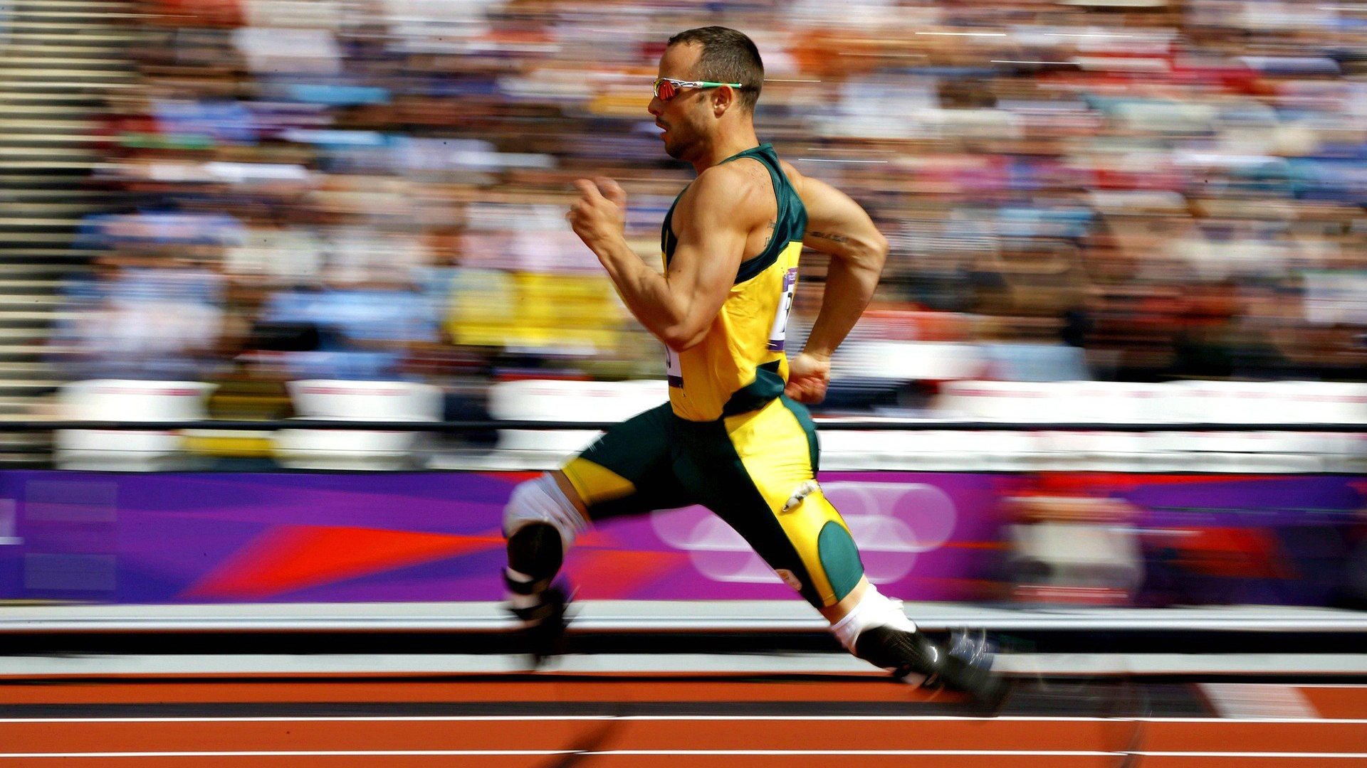 从完胜到共进，樊振东带队背后的乒乓新格局